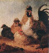CUYP, Aelbert Rooster and Hens dfg oil painting reproduction